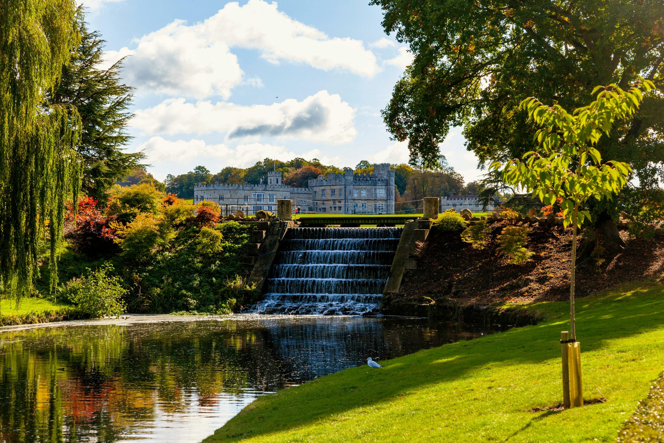 Mediation Service in Kent